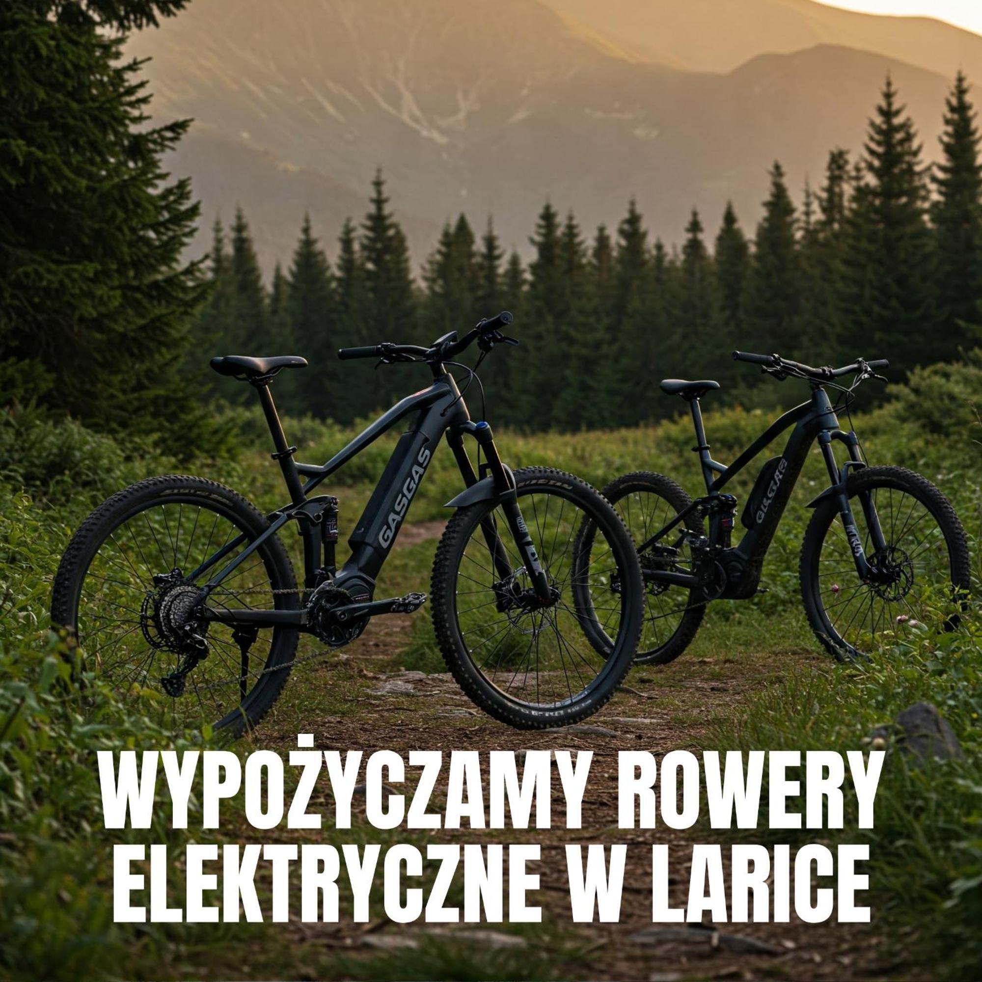 Apartamenty Larice - Podgrzewany Basen, Balia I Sauna Świeradów-Zdrój Exterior foto